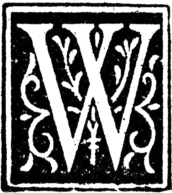 Decorative letter W with ornate floral patterns inside a square frame.
